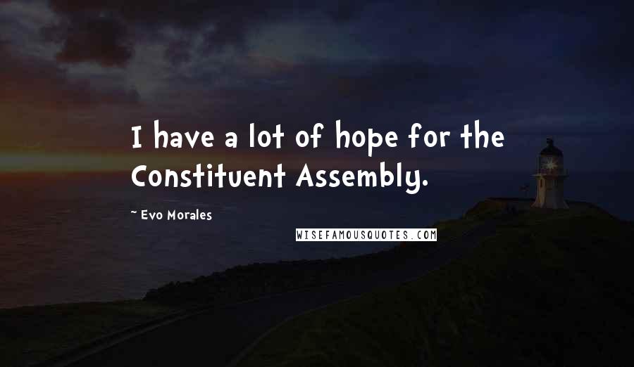 Evo Morales Quotes: I have a lot of hope for the Constituent Assembly.