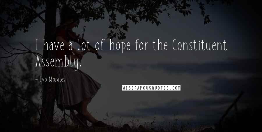 Evo Morales Quotes: I have a lot of hope for the Constituent Assembly.