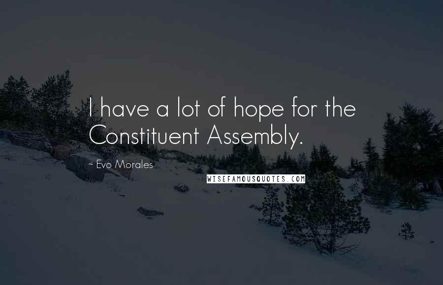 Evo Morales Quotes: I have a lot of hope for the Constituent Assembly.