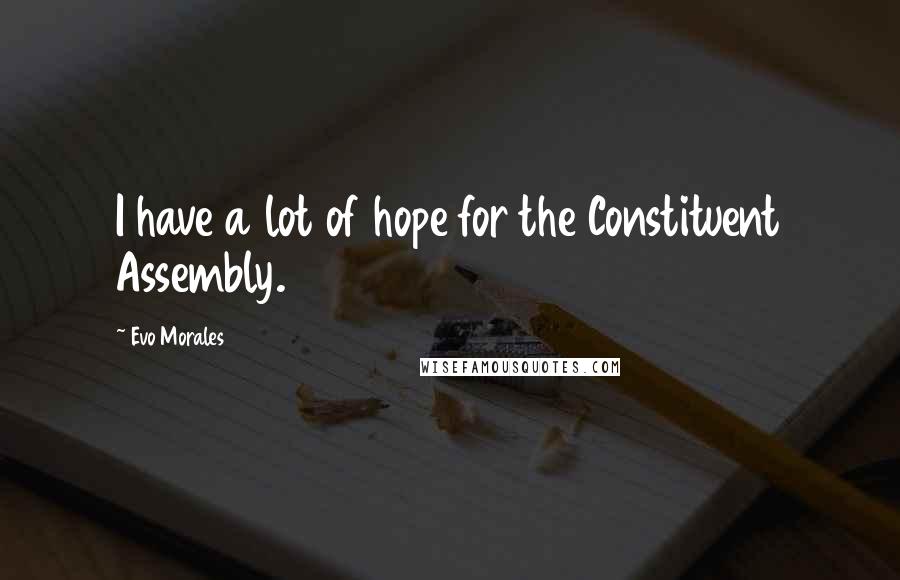 Evo Morales Quotes: I have a lot of hope for the Constituent Assembly.