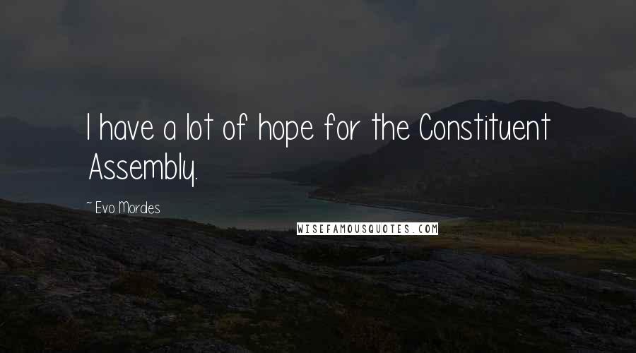 Evo Morales Quotes: I have a lot of hope for the Constituent Assembly.