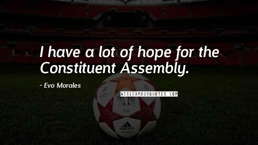 Evo Morales Quotes: I have a lot of hope for the Constituent Assembly.