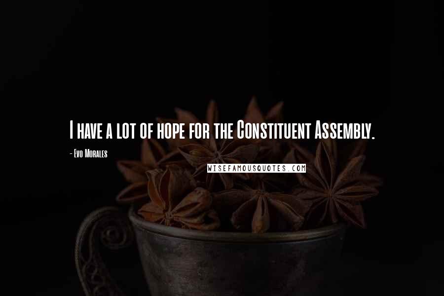 Evo Morales Quotes: I have a lot of hope for the Constituent Assembly.