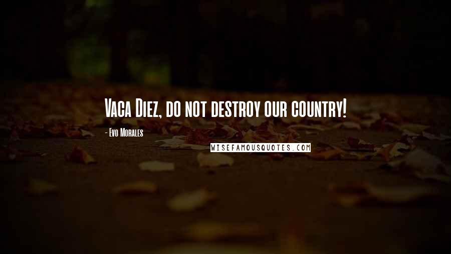 Evo Morales Quotes: Vaca Diez, do not destroy our country!