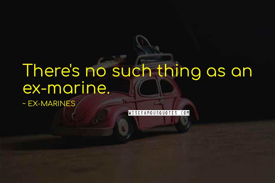 EX-MARINES Quotes: There's no such thing as an ex-marine.