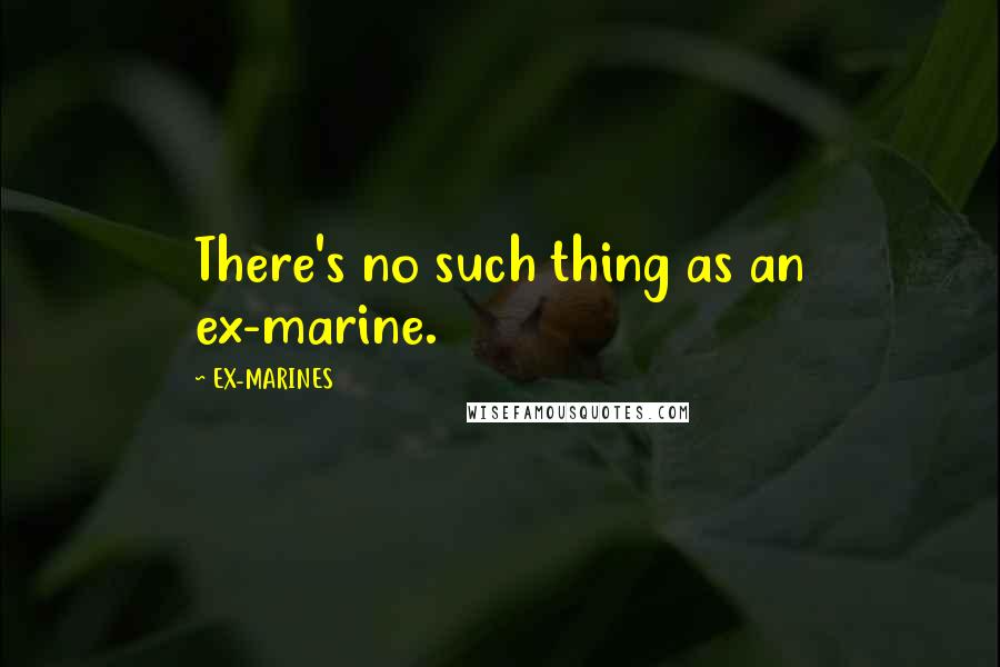 EX-MARINES Quotes: There's no such thing as an ex-marine.