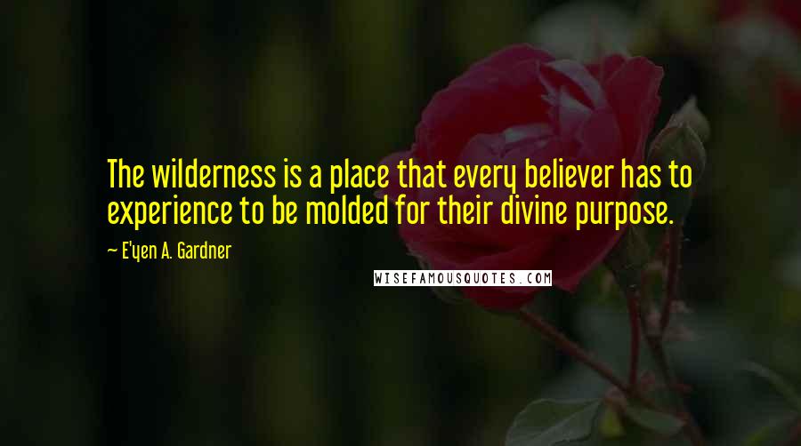 E'yen A. Gardner Quotes: The wilderness is a place that every believer has to experience to be molded for their divine purpose.