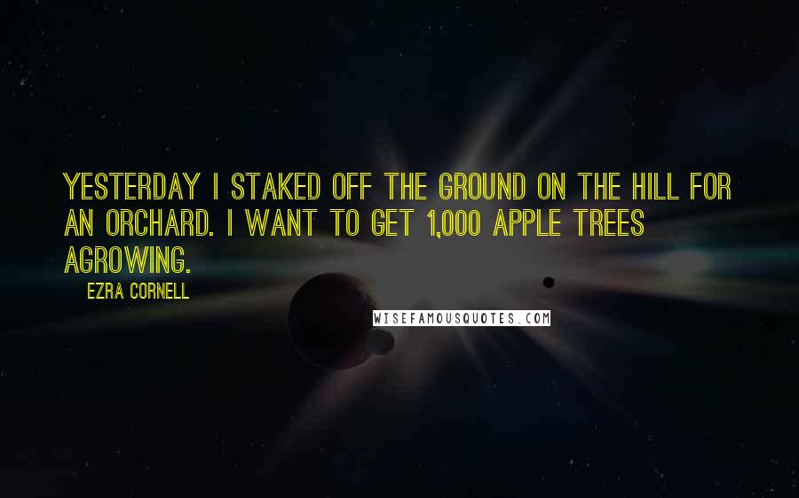 Ezra Cornell Quotes: Yesterday I staked off the ground on the hill for an orchard. I want to get 1,000 apple trees agrowing.