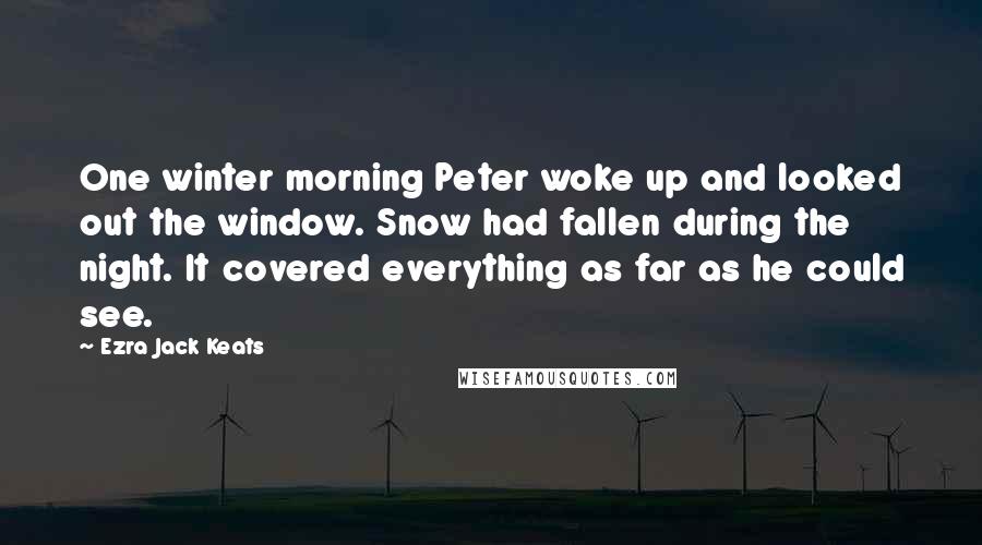 Ezra Jack Keats Quotes: One winter morning Peter woke up and looked out the window. Snow had fallen during the night. It covered everything as far as he could see.