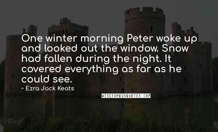 Ezra Jack Keats Quotes: One winter morning Peter woke up and looked out the window. Snow had fallen during the night. It covered everything as far as he could see.