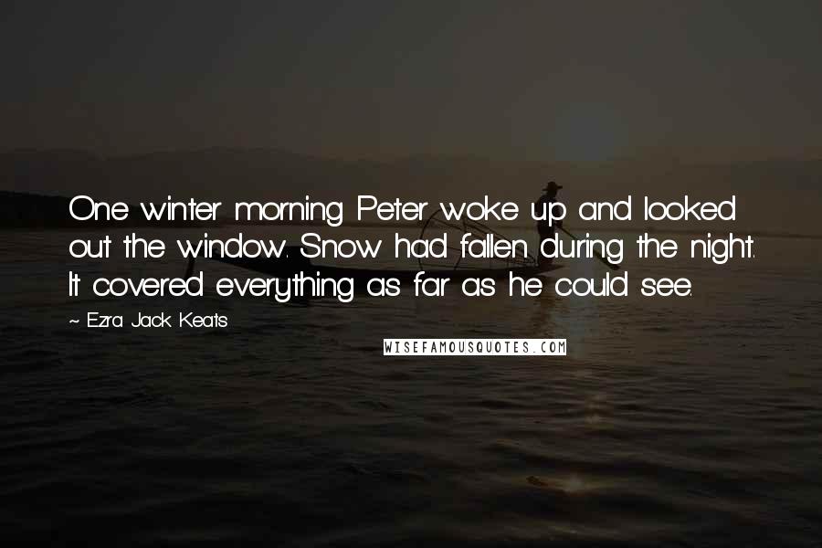 Ezra Jack Keats Quotes: One winter morning Peter woke up and looked out the window. Snow had fallen during the night. It covered everything as far as he could see.