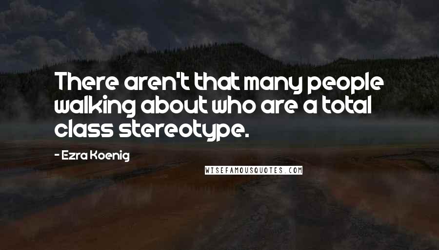 Ezra Koenig Quotes: There aren't that many people walking about who are a total class stereotype.