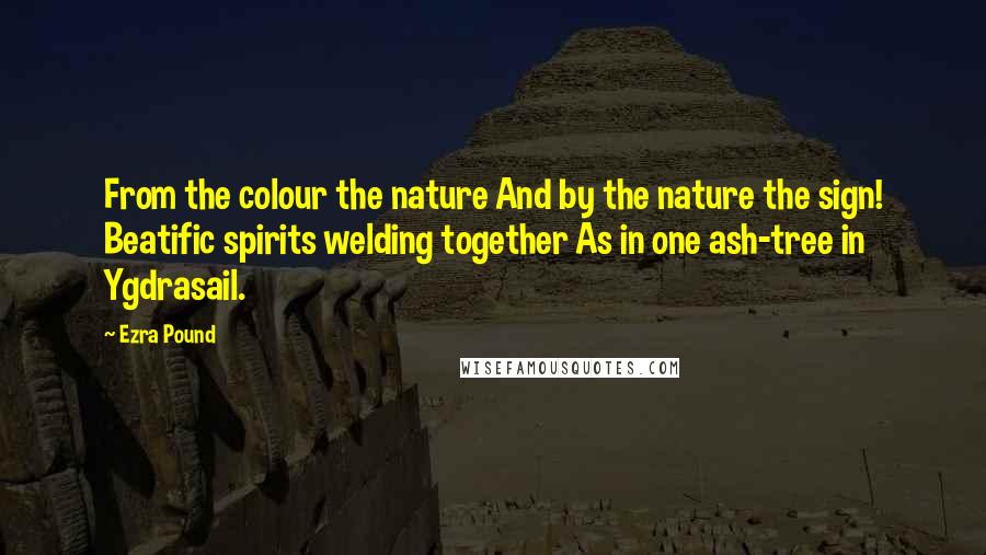 Ezra Pound Quotes: From the colour the nature And by the nature the sign! Beatific spirits welding together As in one ash-tree in Ygdrasail.