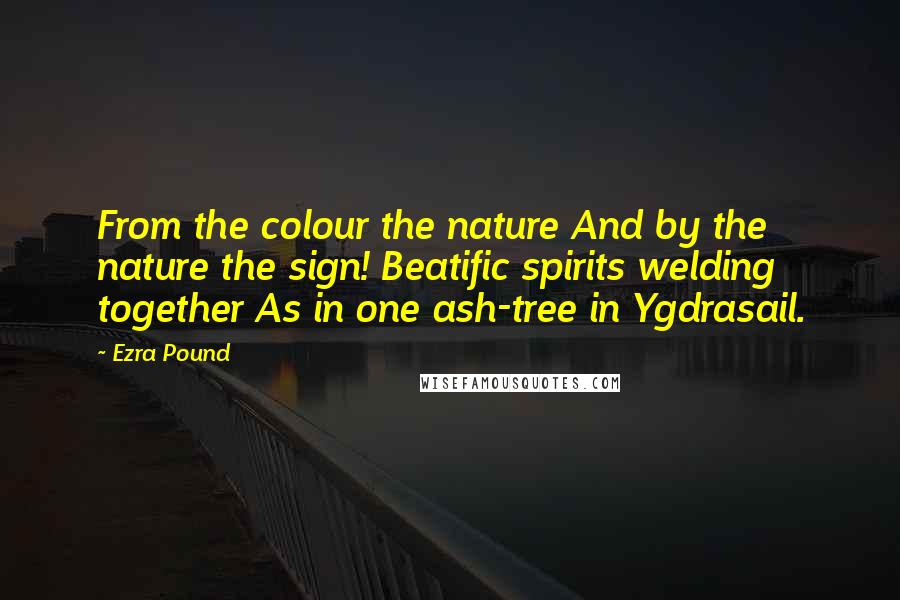 Ezra Pound Quotes: From the colour the nature And by the nature the sign! Beatific spirits welding together As in one ash-tree in Ygdrasail.