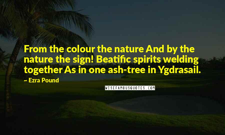Ezra Pound Quotes: From the colour the nature And by the nature the sign! Beatific spirits welding together As in one ash-tree in Ygdrasail.