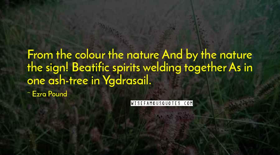 Ezra Pound Quotes: From the colour the nature And by the nature the sign! Beatific spirits welding together As in one ash-tree in Ygdrasail.