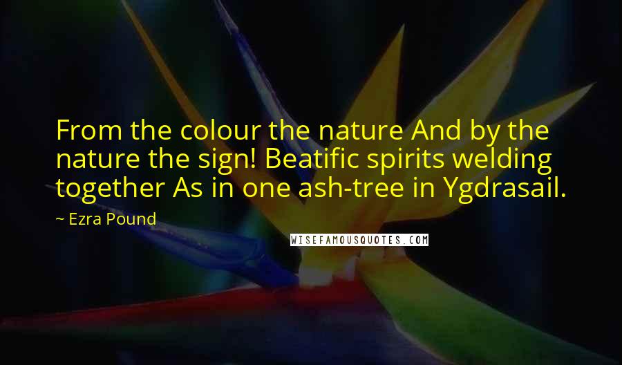 Ezra Pound Quotes: From the colour the nature And by the nature the sign! Beatific spirits welding together As in one ash-tree in Ygdrasail.