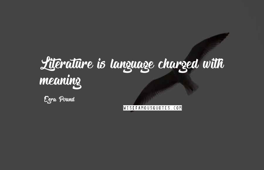 Ezra Pound Quotes: Literature is language charged with meaning