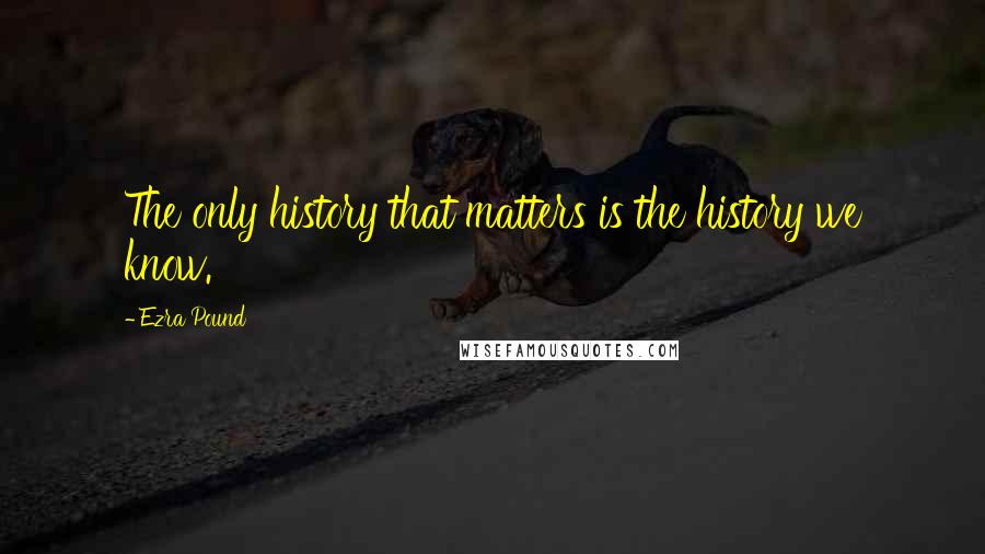 Ezra Pound Quotes: The only history that matters is the history we know.