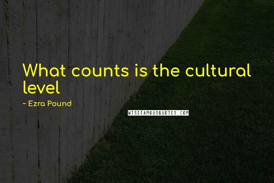 Ezra Pound Quotes: What counts is the cultural level