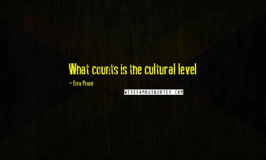 Ezra Pound Quotes: What counts is the cultural level