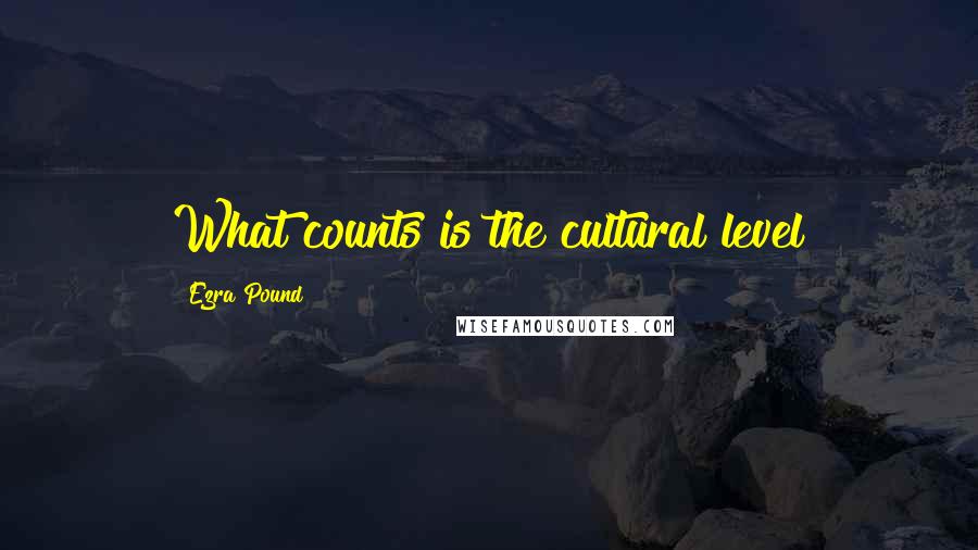 Ezra Pound Quotes: What counts is the cultural level