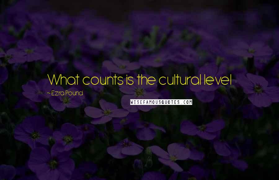 Ezra Pound Quotes: What counts is the cultural level
