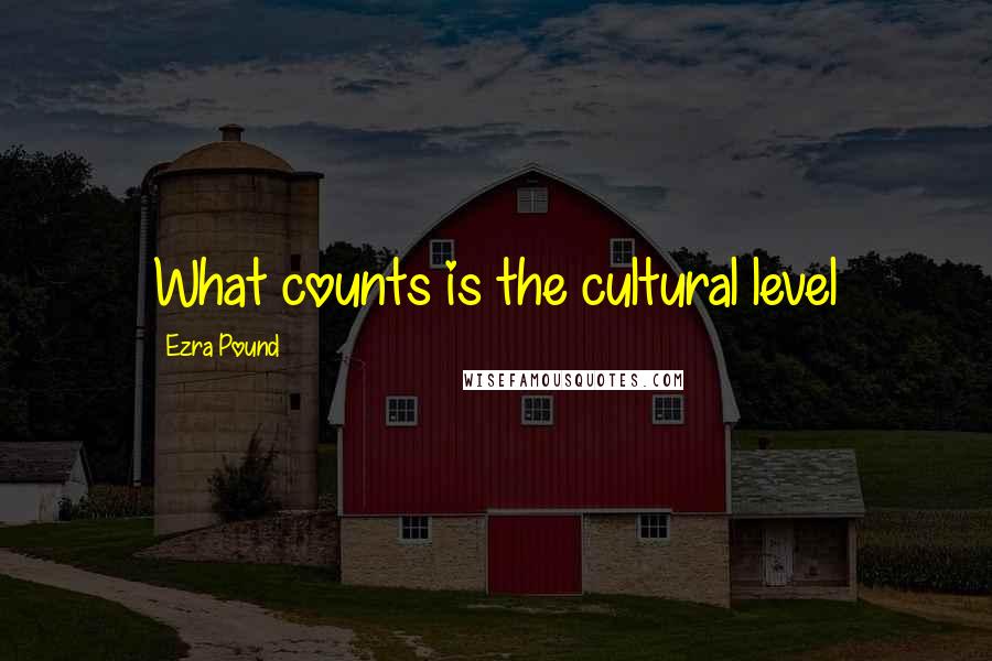 Ezra Pound Quotes: What counts is the cultural level