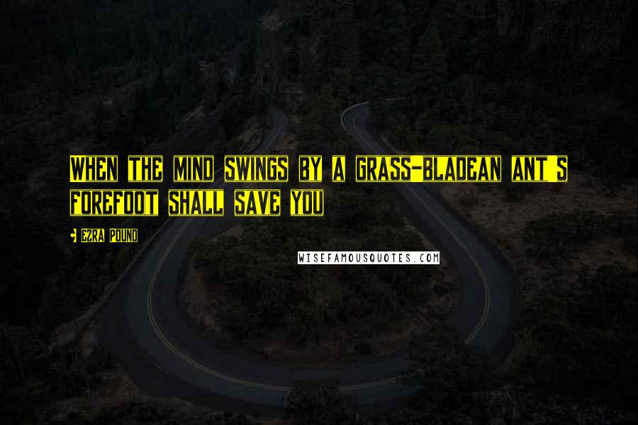 Ezra Pound Quotes: When the mind swings by a grass-bladean ant's forefoot shall save you