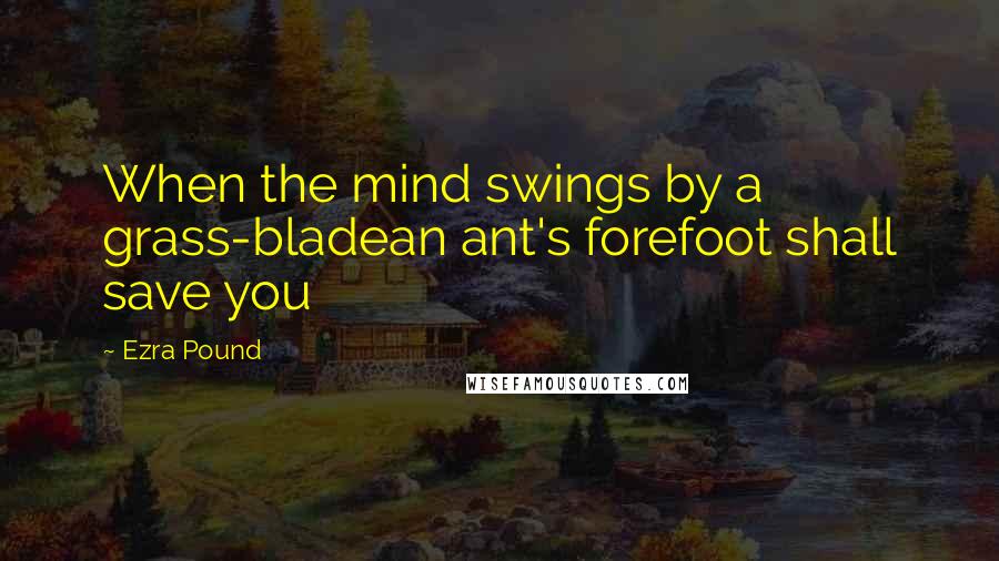 Ezra Pound Quotes: When the mind swings by a grass-bladean ant's forefoot shall save you