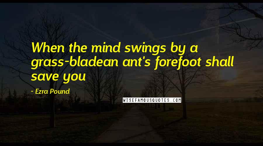 Ezra Pound Quotes: When the mind swings by a grass-bladean ant's forefoot shall save you