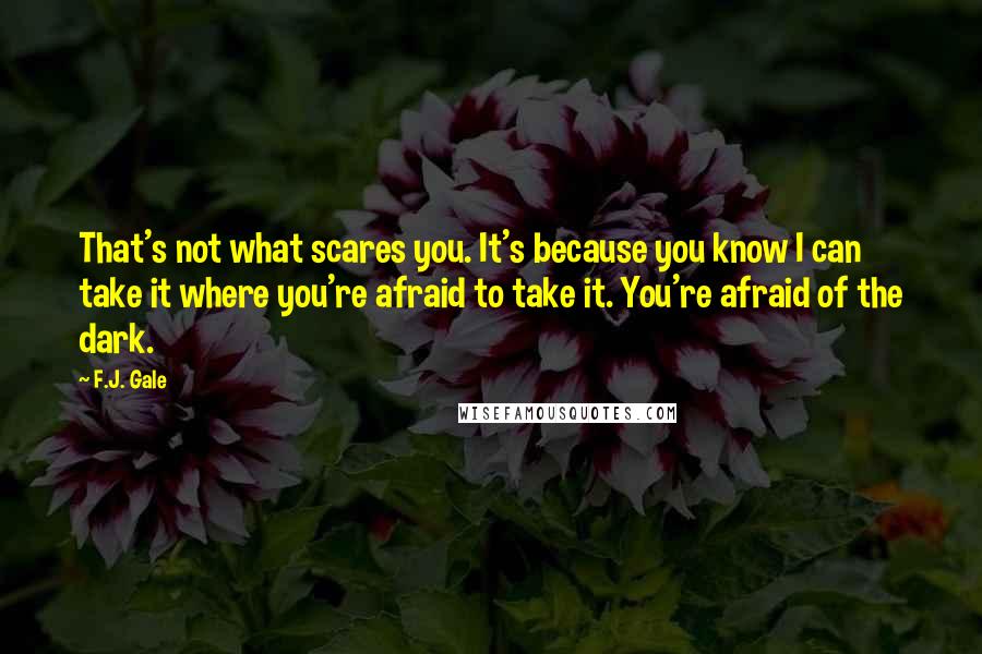 F.J. Gale Quotes: That's not what scares you. It's because you know I can take it where you're afraid to take it. You're afraid of the dark.