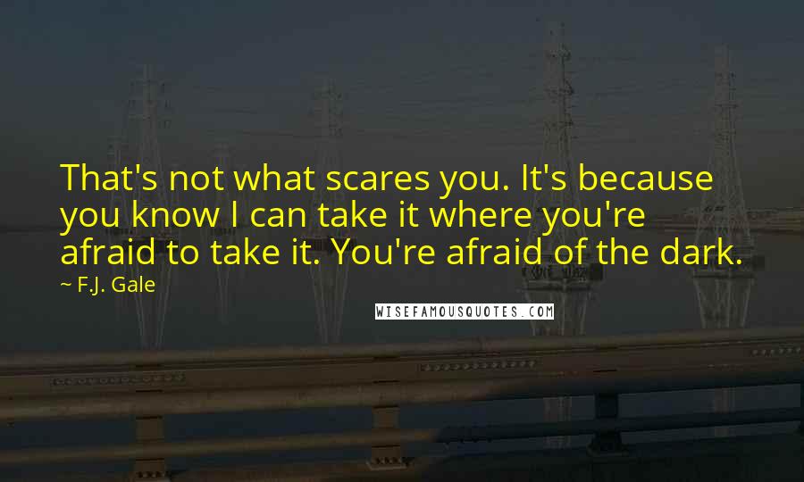 F.J. Gale Quotes: That's not what scares you. It's because you know I can take it where you're afraid to take it. You're afraid of the dark.