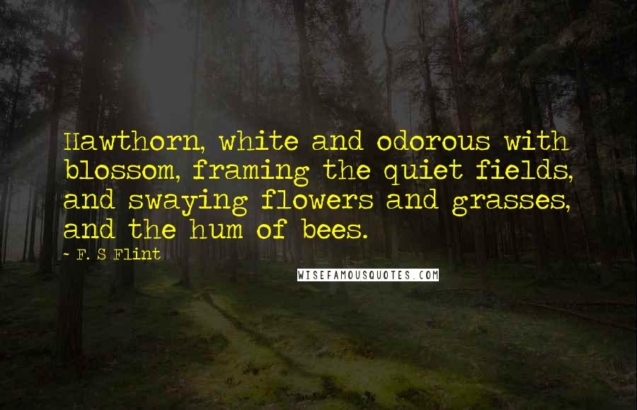 F. S Flint Quotes: Hawthorn, white and odorous with blossom, framing the quiet fields, and swaying flowers and grasses, and the hum of bees.