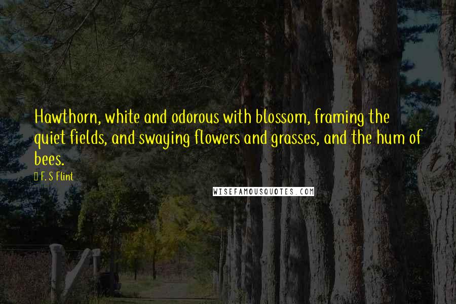 F. S Flint Quotes: Hawthorn, white and odorous with blossom, framing the quiet fields, and swaying flowers and grasses, and the hum of bees.