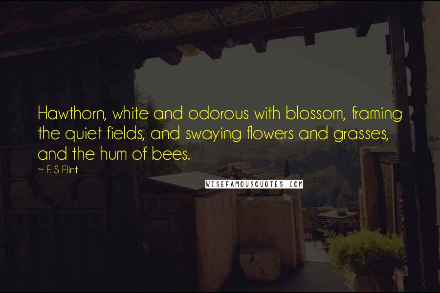 F. S Flint Quotes: Hawthorn, white and odorous with blossom, framing the quiet fields, and swaying flowers and grasses, and the hum of bees.