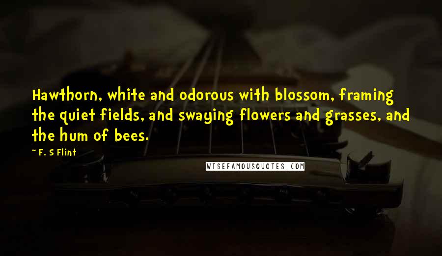 F. S Flint Quotes: Hawthorn, white and odorous with blossom, framing the quiet fields, and swaying flowers and grasses, and the hum of bees.