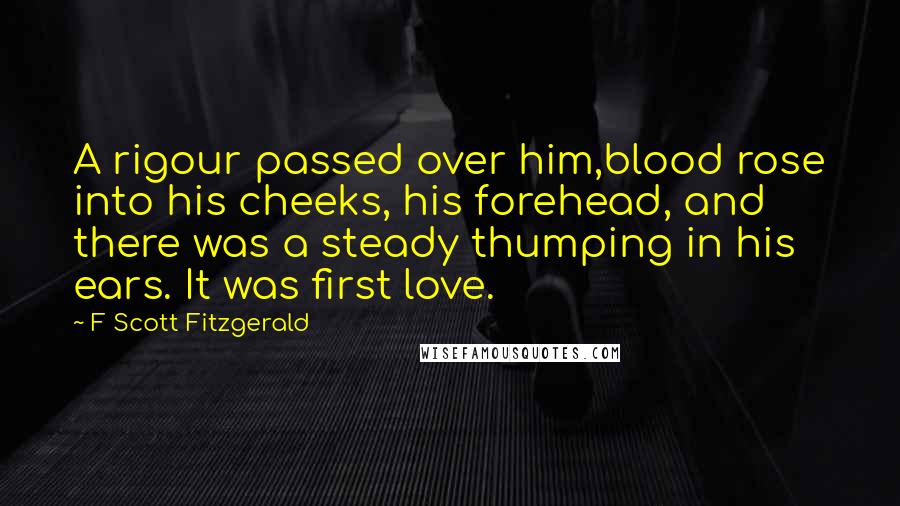 F Scott Fitzgerald Quotes: A rigour passed over him,blood rose into his cheeks, his forehead, and there was a steady thumping in his ears. It was first love.