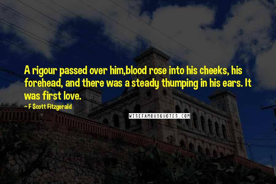 F Scott Fitzgerald Quotes: A rigour passed over him,blood rose into his cheeks, his forehead, and there was a steady thumping in his ears. It was first love.
