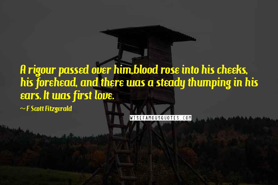 F Scott Fitzgerald Quotes: A rigour passed over him,blood rose into his cheeks, his forehead, and there was a steady thumping in his ears. It was first love.