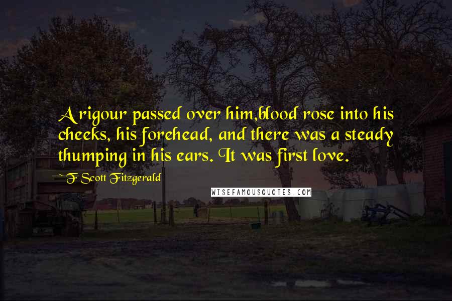 F Scott Fitzgerald Quotes: A rigour passed over him,blood rose into his cheeks, his forehead, and there was a steady thumping in his ears. It was first love.