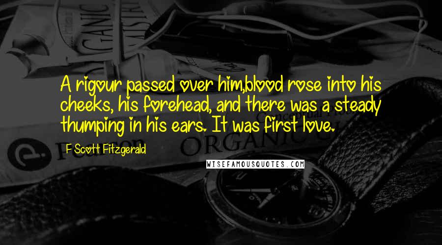 F Scott Fitzgerald Quotes: A rigour passed over him,blood rose into his cheeks, his forehead, and there was a steady thumping in his ears. It was first love.