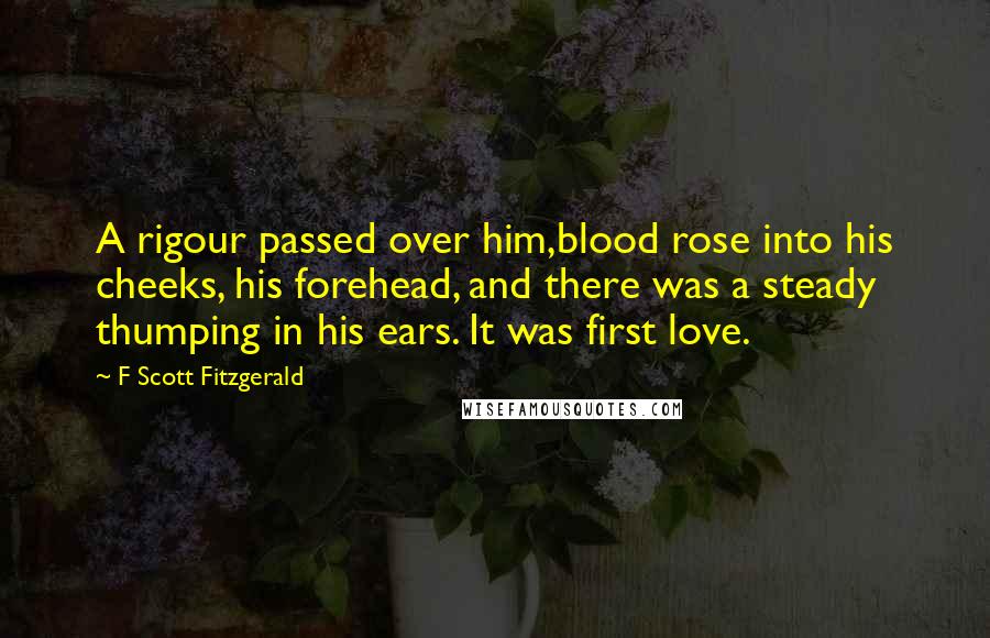 F Scott Fitzgerald Quotes: A rigour passed over him,blood rose into his cheeks, his forehead, and there was a steady thumping in his ears. It was first love.