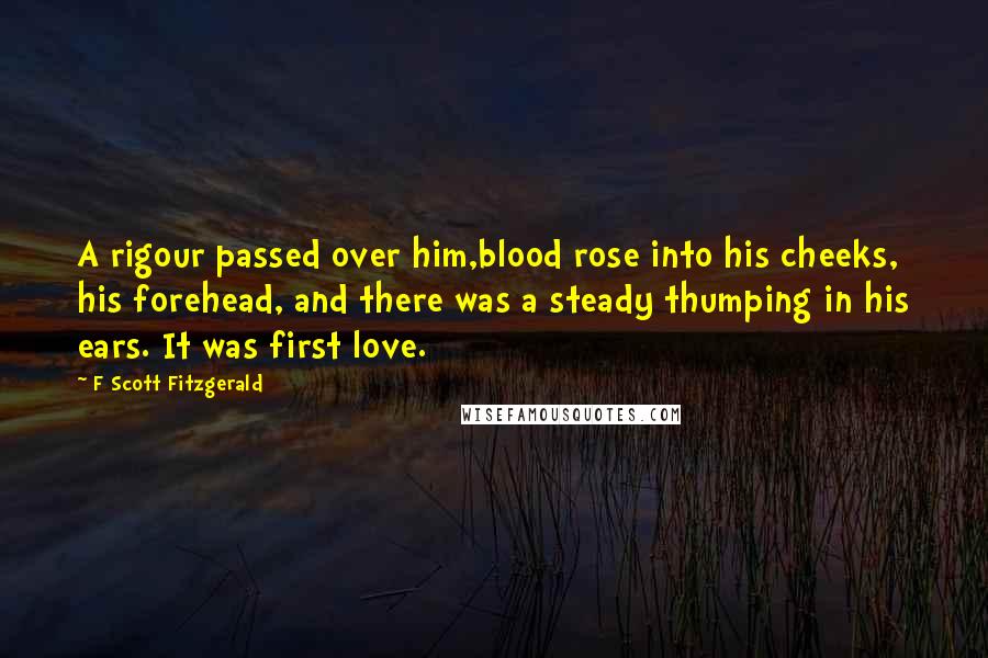 F Scott Fitzgerald Quotes: A rigour passed over him,blood rose into his cheeks, his forehead, and there was a steady thumping in his ears. It was first love.