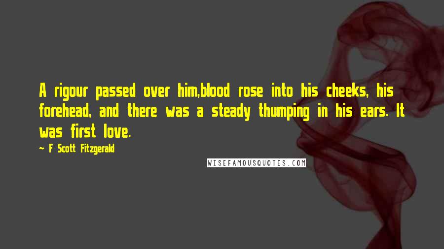 F Scott Fitzgerald Quotes: A rigour passed over him,blood rose into his cheeks, his forehead, and there was a steady thumping in his ears. It was first love.