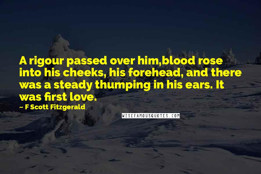 F Scott Fitzgerald Quotes: A rigour passed over him,blood rose into his cheeks, his forehead, and there was a steady thumping in his ears. It was first love.