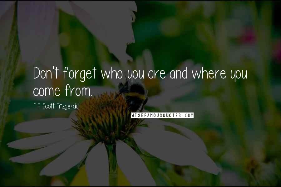 F Scott Fitzgerald Quotes: Don't forget who you are and where you come from.