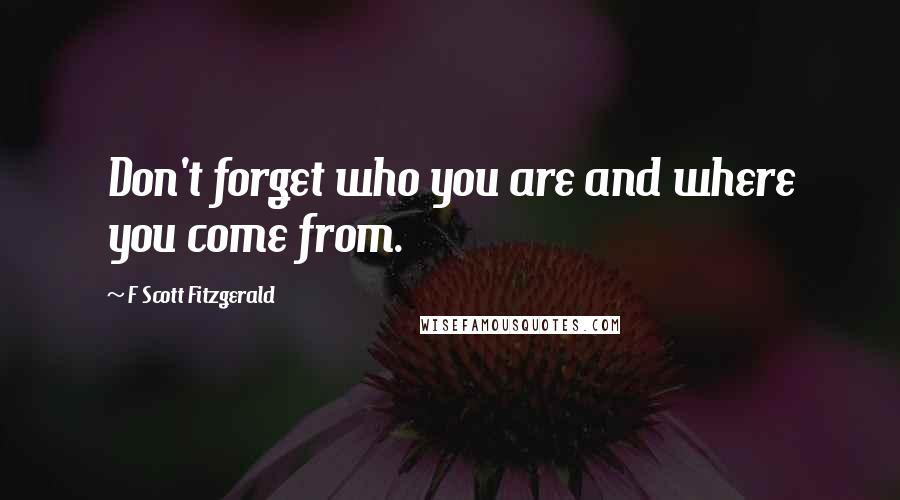 F Scott Fitzgerald Quotes: Don't forget who you are and where you come from.