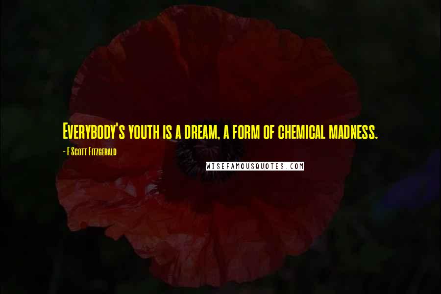 F Scott Fitzgerald Quotes: Everybody's youth is a dream, a form of chemical madness.