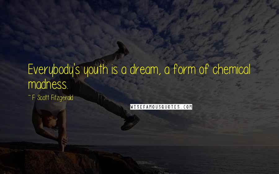 F Scott Fitzgerald Quotes: Everybody's youth is a dream, a form of chemical madness.